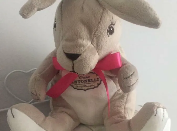 Nocleg ze śniadaniem Casa Antonelli --- Inclusa -- San Benedetto del Tronto