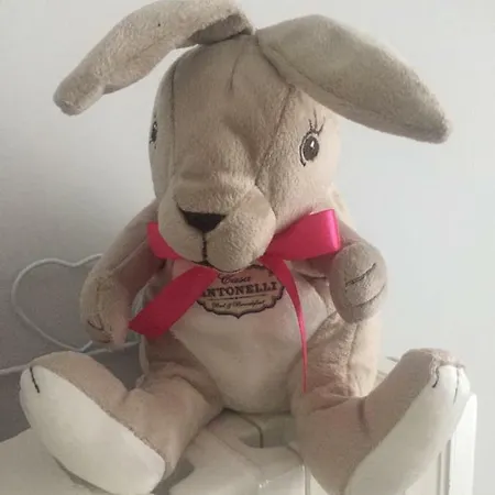 Oda ve Kahvaltı Casa Antonelli --- Inclusa -- San Benedetto del Tronto